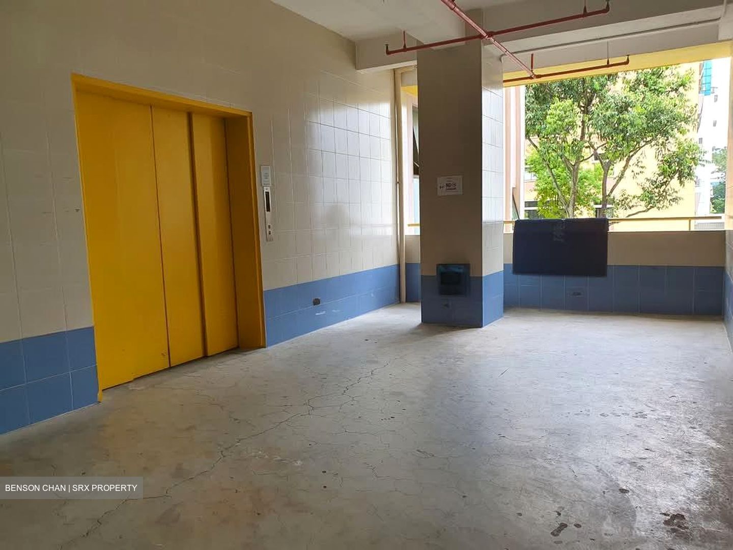 Perfect One (D13), Warehouse #554776451